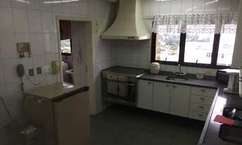 Imagem 6: São Paulo - Apartamento Padrão - Moema Pássaro