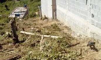 Imagem 4: Terreno enorme Terreno / lote com venda por R$45.000