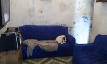 Imagem 7: Vende se uma casa