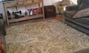 Imagem 7: Guarulhos - Chácara - Capelinha