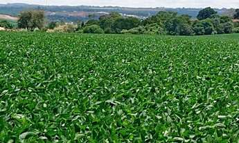 Imagem 7: Angatuba - RURAL - Zonal Rural