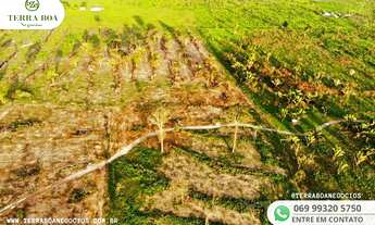 Imagem 5: FAZENDA 84 ALQUEIRES 50 ALQUEIRES DE ABERTURA CANDEIAS DO JAMARI/RO