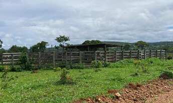 Imagem 4: Fazendinhas Próximo ao Rio em Baldim!! Glebas de excelente topografia e terra para cultivo