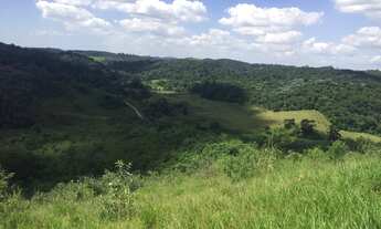 Imagem 6: Ótimos terrenos em Santa Isabel!