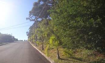 Imagem 5: Área à venda, 36000 m² por R$ 2.200.000,00 - Vale Verde - Nova Petrópolis/RS