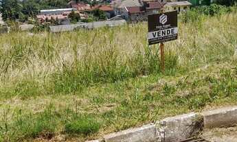 Imagem 2: MORRO REUTER - Terreno Padrão - Centro