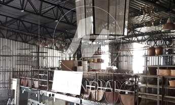 Imagem 4: Salão/Galpão (salão - térreo