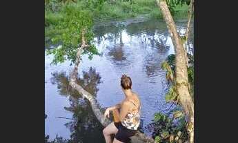 Imagem 6: Venda-se sítio Chácara com venda por R$140.000