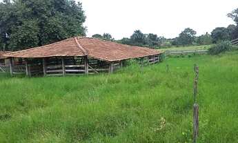 Imagem 5: Oportunidade! Vende-se uma fazenda de 153 hectares