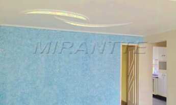 Imagem 2: Lindo apartamento em Água Fria