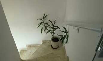 Imagem 2: Casa em condomínio