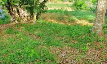 Imagem 4: Terreno e sitios a venda