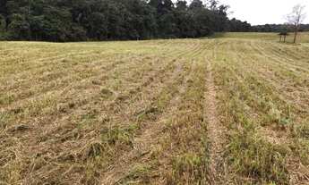 Imagem 5: Fazenda entre KM 50 e 60 da BR174. 10.360.000m2. Benfeitorias + AREAL 250.000m2 LICENCIADO