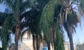 Imagem 3: Pavilhão Distrito Industrial Cachoeirinha