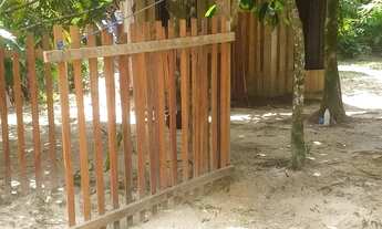 Imagem: Sítio na estrada de Mosqueiro