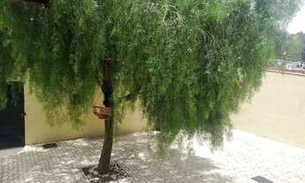 Imagem 2: Térrea para venda tem 200 metros quadrados com 4 quartos