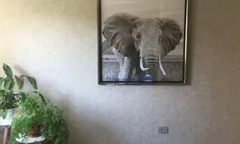 Imagem 5: Apartamento com 3 dormitórios à venda, 117 m² por R$ 1.050.000,00 - Vila Pompeia - São Pau