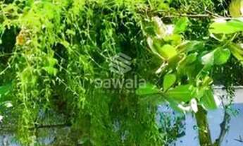 Imagem 7: Copacabana Apartamento com 5 dormitórios