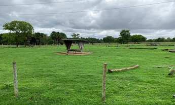 Imagem 7: Fazenda/Sítio/Chácara para venda com 6098 metros quadrados com 5 quartos em Centro - Poran