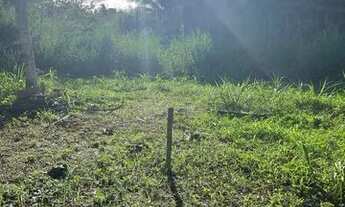 Imagem 3: Terreno em Jardim Ipitanga