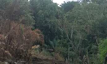 Imagem 4: Vende-se terreno