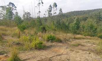 Imagem 5: Área rural em jarinu