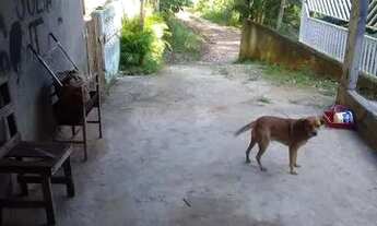 Imagem 4: Sobrado grande na zona norte aceito oferta