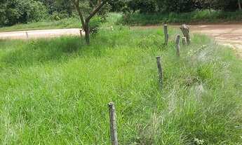 Imagem 7: Oportunidade! Vende-se uma fazenda de 153 hectares