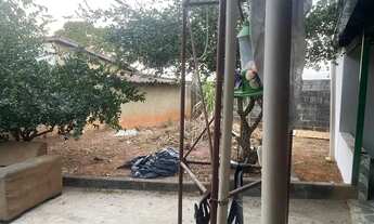 Imagem 2: Aluga se Casa com 2 dormitórios