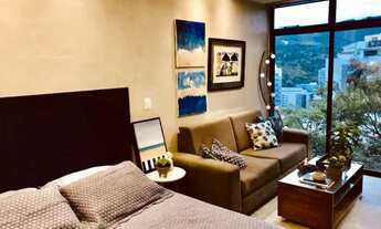 Imagem 2: Lindo studio com vista para o bosque de laranjeiras