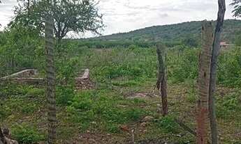 Imagem 2: Terreno para chácara