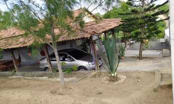 Imagem 3: Chácara com escritura pública, bezerros