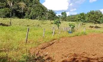 Imagem 3: Vendo chácara em aurora do Tocantins