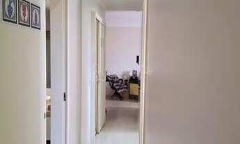 Imagem 7: Apartamento - Jardim Dom Vieira - Campinas