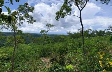 Imagem 5: Terreno rural 2,3ha com rio nos fundos Jaboticatubas
