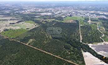 Imagem 5: Terreno com aproximadamente 90 Hectares quadrados
