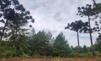 Imagem 7: Piraquara - Area de 20.000m2