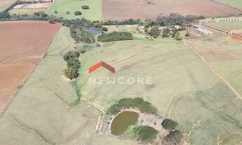 Imagem: Sítio em Rua Onze de Agosto - Centro