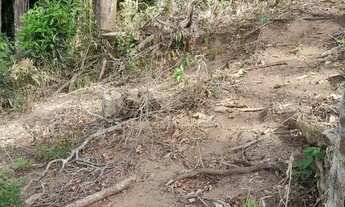 Imagem 3: Vendo linda chácara ==valor 60 mil