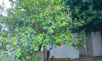 Imagem 6: VENDO OU ALUGO CASA Á 700M DO MAR, 5Q SENDO 2 SW, 4WC, 3 SL, 4 TERRAÇOS AMPLOS, COPA COZIN