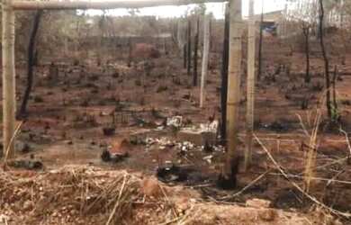 Imagem 6: Gleba em Baldim Chácara com venda por R$35.000