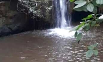 Imagem: Fazenda de 61 Alqueires em Palestina de