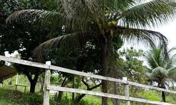 Imagem 3: Sítio para Venda em Flexeiras, Zona Rural, 3 dormitórios, 1 banheiro