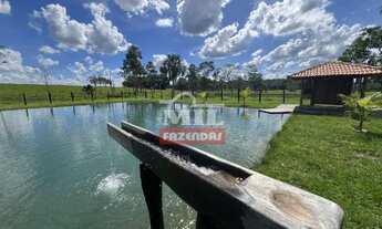 Imagem 2: Chácara 5,12 Alqueire (24,78 hectares) Mairipotaba - Go