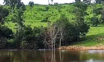 Imagem 3: Chácara à venda no bairro Rural em Rianápolis/GO