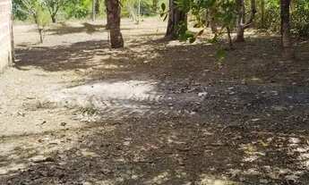 Imagem 6: Terreno para venda na estrada de Itacoatiara - AM