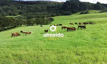 Imagem 6: ÁREA RURAL 580HA EM SANTANA DA BOA VISTA