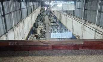 Imagem 4: Galpão/Depósito/Armazém em Brás