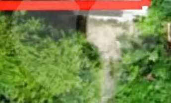 Imagem 2: Terreno à venda em Nossa Senhora Aparecida - RR