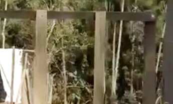 Imagem: Oportunidade Única Terreno com Água Limpa